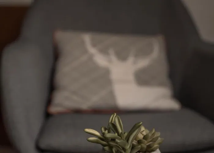 Hubertushof Casa de hóspedes